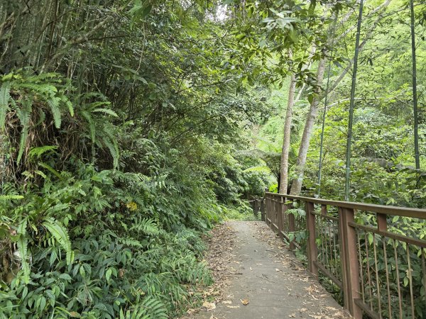 [皮皮獅探險隊-10/10] 2025_0816 白蘭溪古道2862941