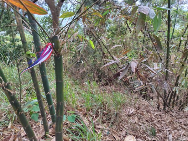 健行筆記雲林近郊山頭及湖山水庫2751699