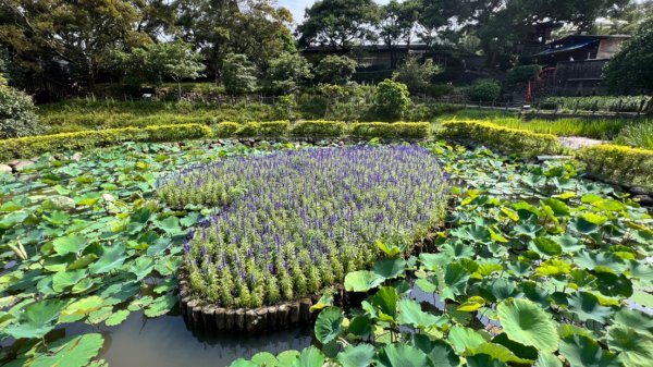 臺北大縱走第四段：風櫃口到大湖公園捷運站2155440