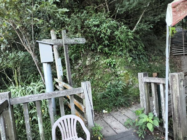[玉山尋寶任務-07/12] 2025_0824 八通關雲龍瀑布步道2870398