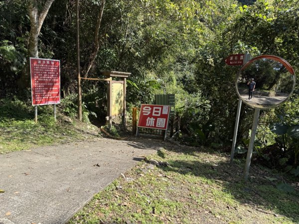 2025/03/21 聖母山莊 抹茶山 三角崙山2935069