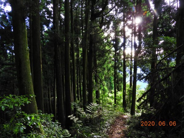 新竹 五峰 鳥嘴山、鵝公髻山986658