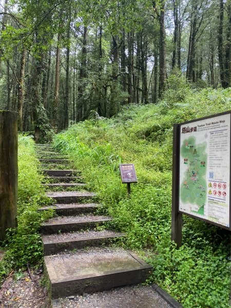 1120924阿里山塔山及水山療癒步道2642837