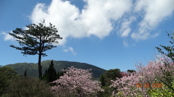 仙境?!雲霧繚繞! 2020/4th雲瀑853524