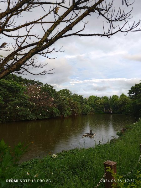 大安森林公園、寧夏夜市、士林夜市【走路趣尋寶】【臺北健走趣】2536333