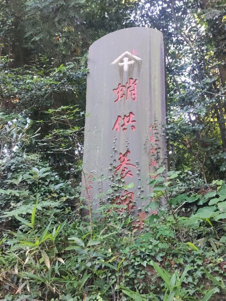 東京八王子高尾山3090122
