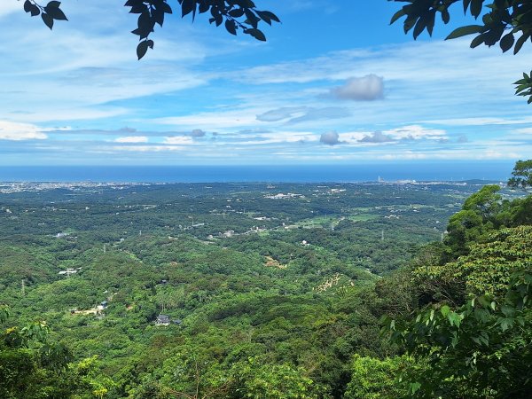 三義挑炭古道(三通嶺古道)11508233115418