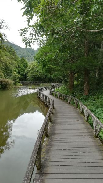 20180707漫步福山植物園380555