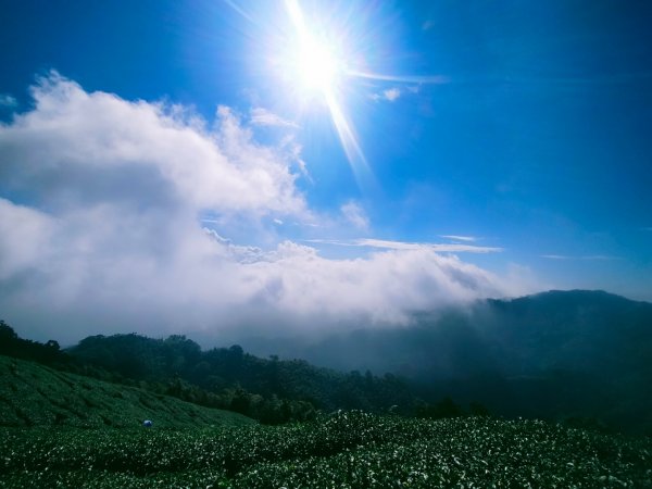 雲嘉連峰2365690