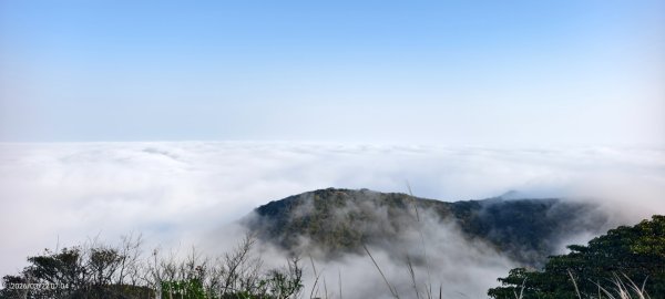 #大屯山 #雲海 3/223019602