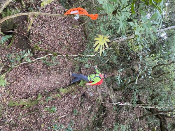 芝生毛台山、虎禮山連走1368973