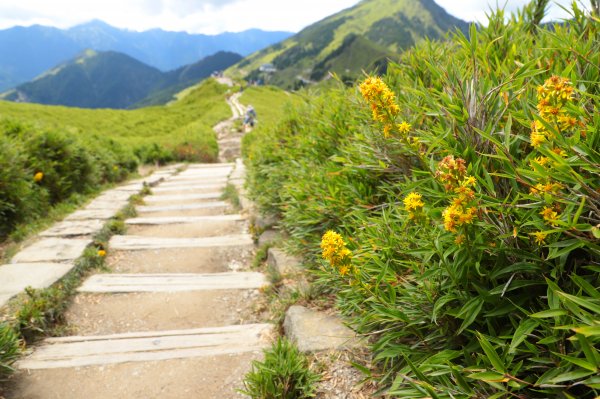 一日往返｜小百岳｜山海景｜打卡秘境｜親子休閒｜7條路線推薦