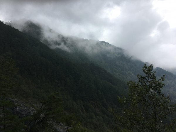 20161109-10_奇萊南華873702