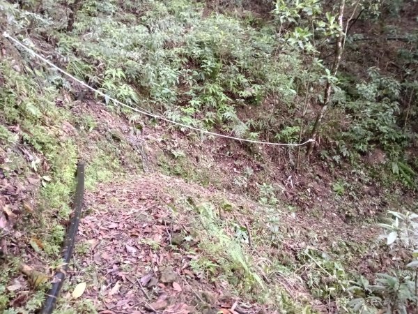 平溪區三功大厝+番子坑山+千階嶺步道O型2781109