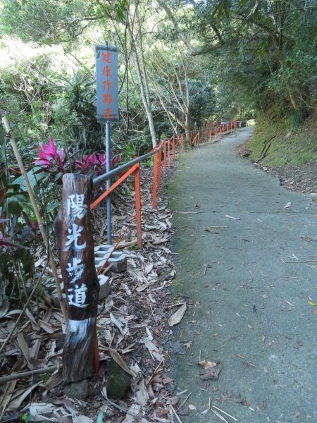 豐原三崁頂健康步道3上2下O形2696133