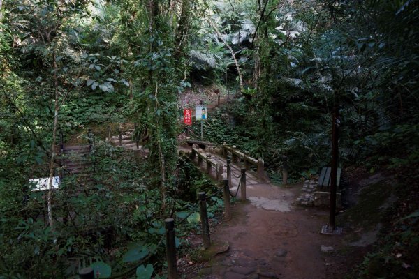 獅頭山+猿山 O型1310348