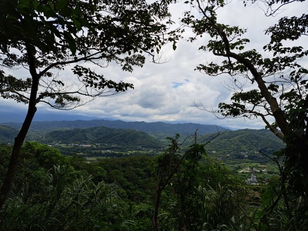 2026森遊竹縣：石光古道（老虎山步道）3107333