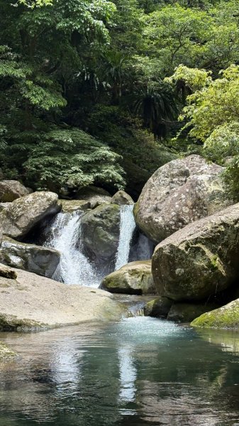 戲水（鴛鴦2786727