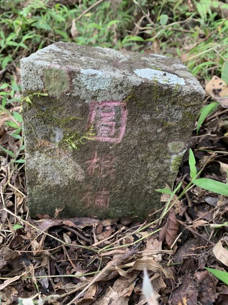 20250129高雄塔羅留山-塔羅留山南峰-他果晏山2705274