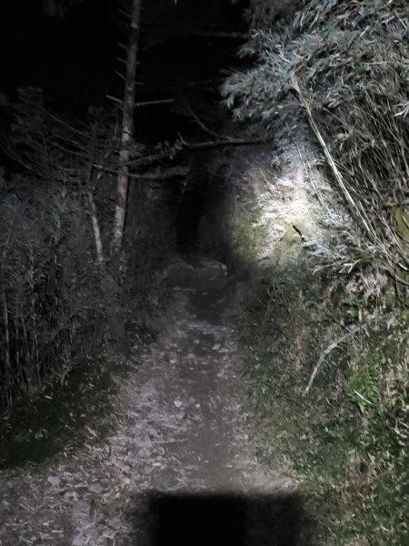 2天7萬步 步步都懷疑人生-南華山748291