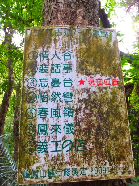 苗栗獅潭-鳴鳳古道群賞桐趣327136