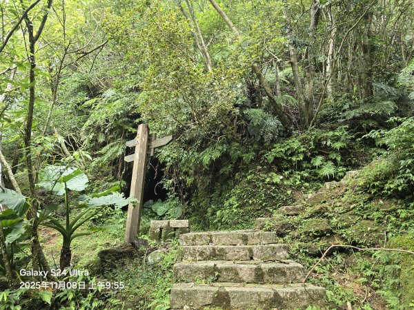 2025-11-08微笑山線：【五分山系】菁桐煤礦段2932713