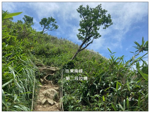 聖母峰、三角崙山 (抹茶山) 連走2802236