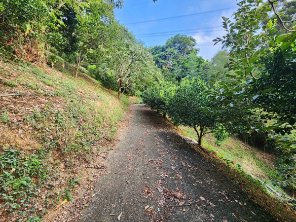 20240721泰安登山步道登七塊山2599958