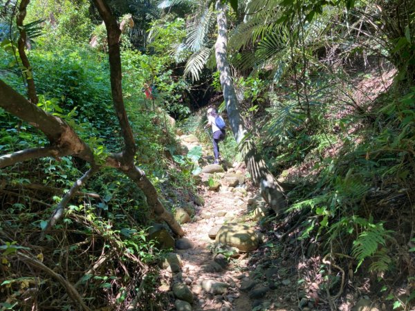 蓮華山古道群2301654