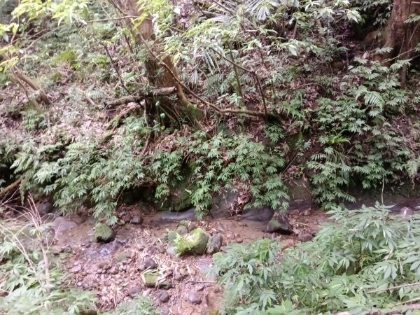 平溪區平溪子山遇雷雨O型2850095