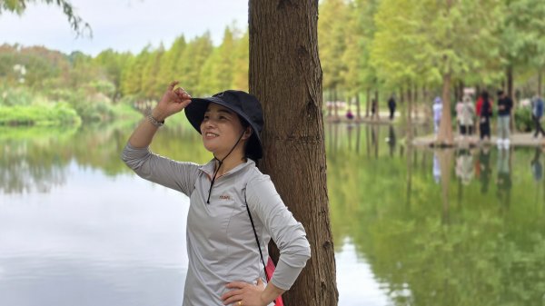 2024月眉落羽松季絕美登場，季節限定，免入園費免停車費，怎麼拍都美，不用出國就能拍繽紛大景。2668338