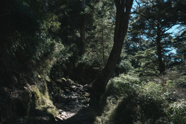 【玉山】主峰北峰二日，臺灣第一高峰雪季最美角度1881194