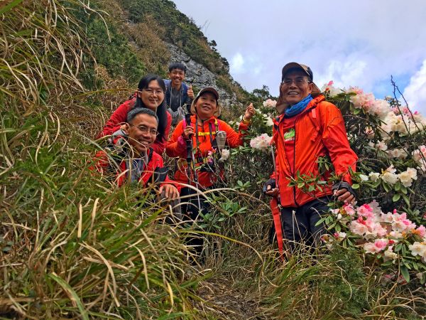 合歡東峰、小奇萊賞杜鵑2018/4/28325125