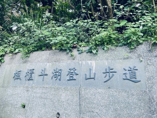20260419 觀音山硬漢嶺步道+楓櫃斗湖步道（小百岳#5）3050803