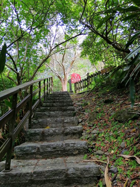 花蓮秀林。山谷裡的清悠~布洛灣景觀步道1038432