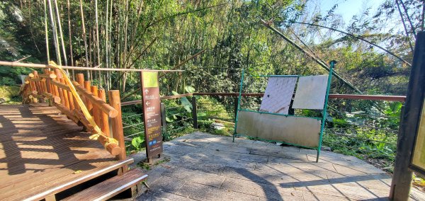 2025-01-30迷糊步道2704459