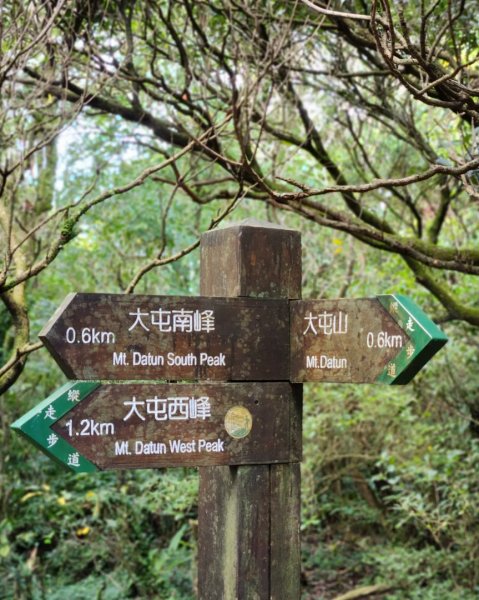 2022-3 大屯山連峰步道封面