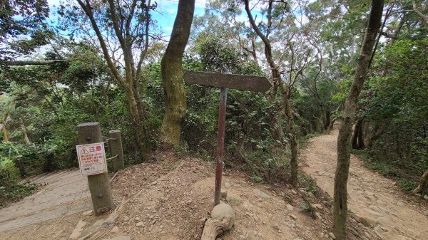 2020-1130飛鳳山O型1193890
