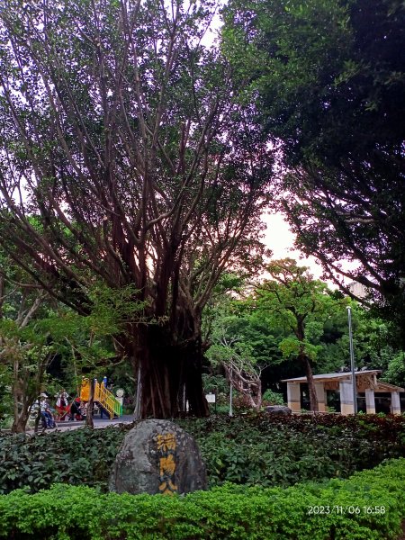 內湖湖光教會、大港墘公園、文德三號公園、瑞陽公園【走路趣尋寶】2347476