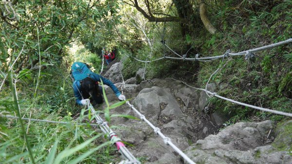 觀音山登山健行趣(小百岳05號)1632426