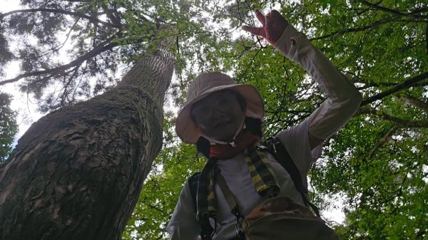 宜蘭小百岳鵲子山O走3083272
