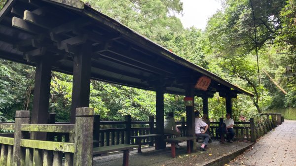 信義區虎山溪步道-岩刻佛像岩下路-四獸山步道-拇指山-南港山-九五峰-麗山橋口步道3076161