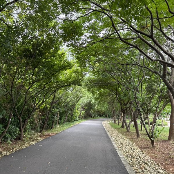 霄裡好風光運動樂悠遊2829075