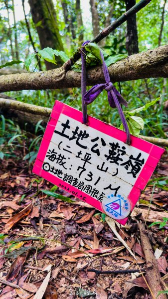 水沙漣古道｜二坪山