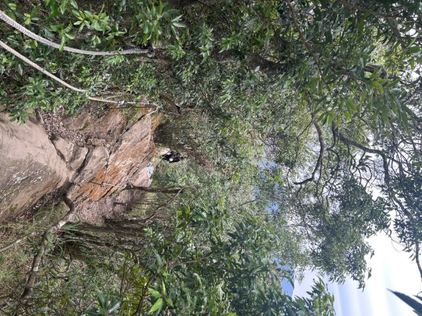 25/01/31三峽五寮尖2703461