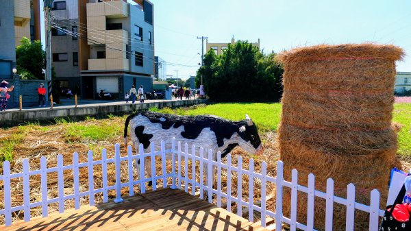 富岡仙草花2942397