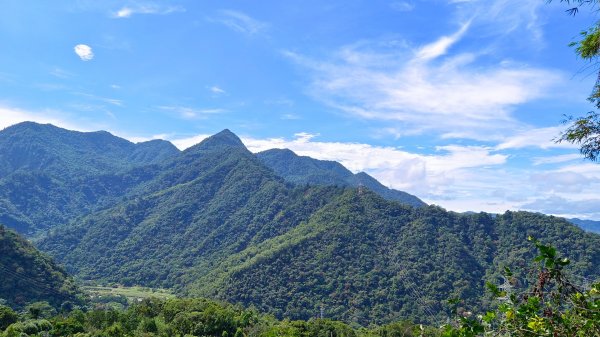 谷關三雌~白冷山~1882038