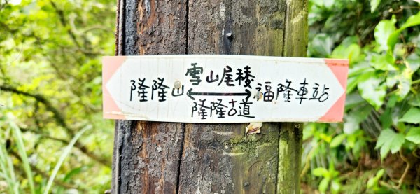 抹茶山，聖母登山步道，隆隆山，福卯古道，水柳腳登山步道，觀音台步道，北勢溪自行車道2112014