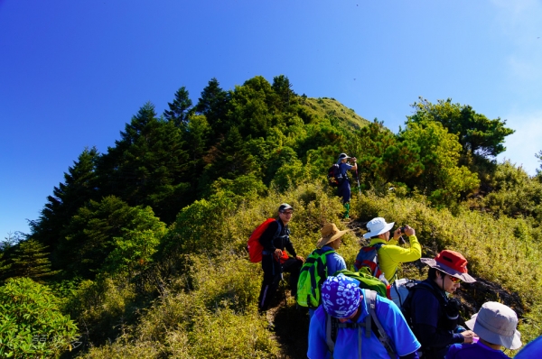 【步道小旅行】郡大山2067