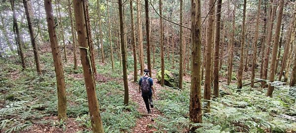 2025/05/17-凌空廊道至比麟山來回2790074